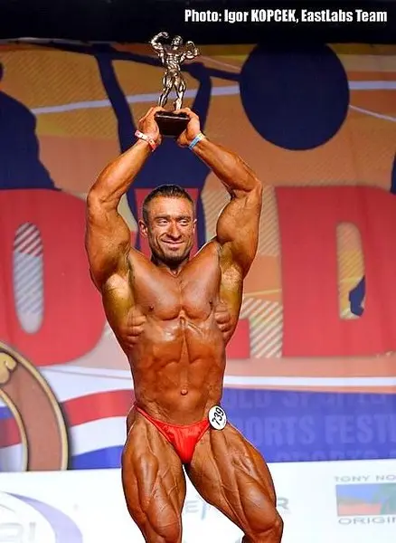 asf 2016 bb 1 — Galery asf 2016 bb 1