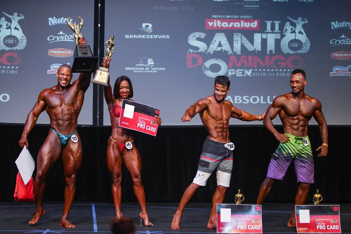 Open Santo Domingo — ORGANIZATION OPEN SANTO DOMINGO